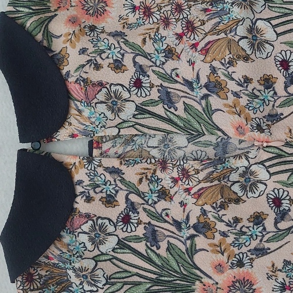 LAUREN CONRAD Floral Sleeveless Peter Pan Collar Dress NWOT - Picture 9 of 10